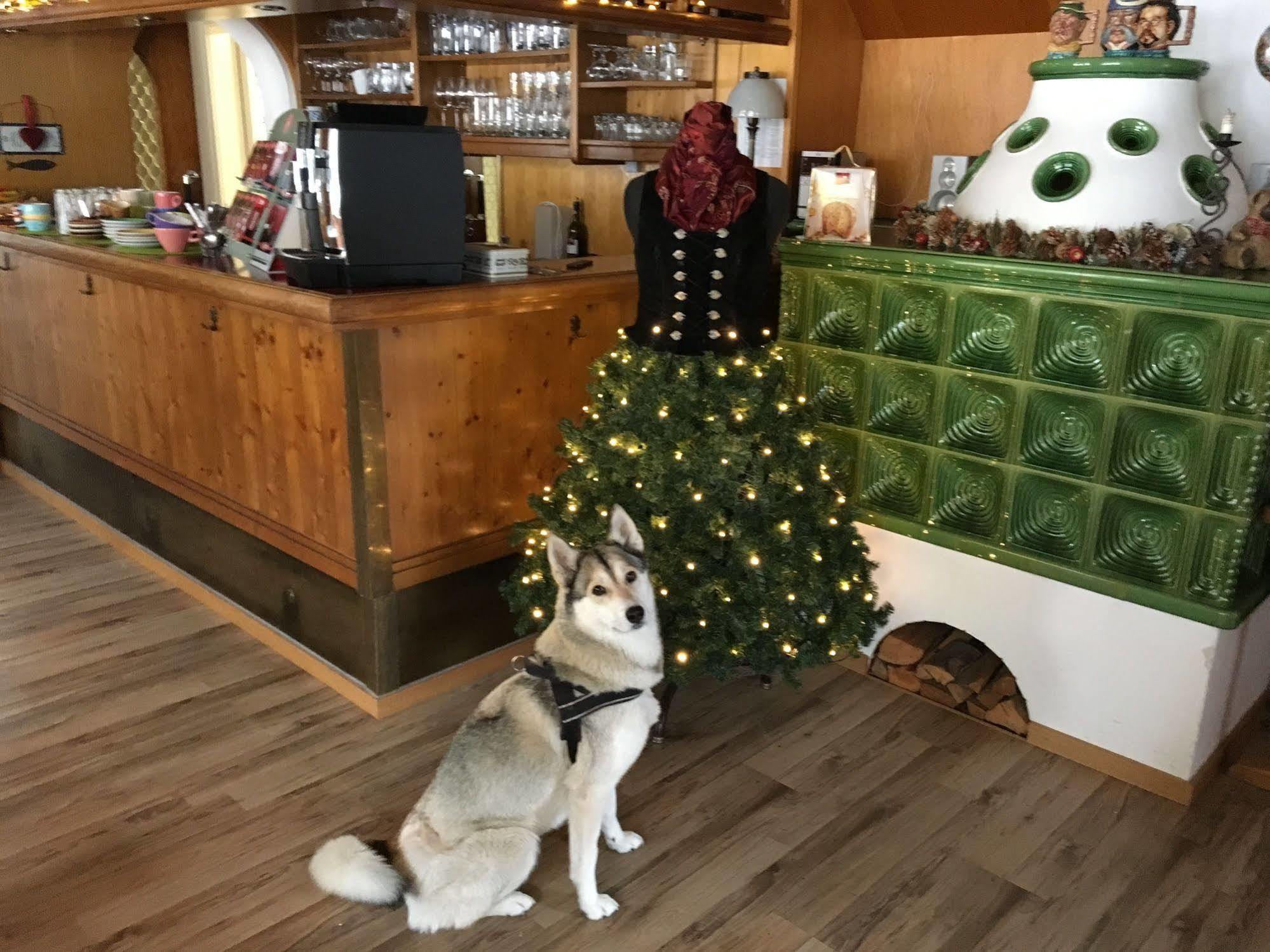 Hotel Pension Schwansee Schwangau Bagian luar foto